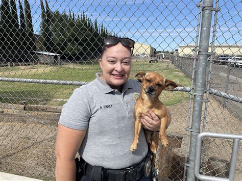 Turlock animal shelter - For more information or questions about our adoptable animals, please contact: Animal Services 801 S. Walnut Turlock, CA 95380 (209) 656-3140 animalservices@turlock.ca.us Tuesday - Saturday 9:30AM - 3:30PM (Closed Holidays) The Turlock Animal Shelter is open to the public for shelter operations from 9:30 a.m. to 3:30 p.m. Tuesday through …